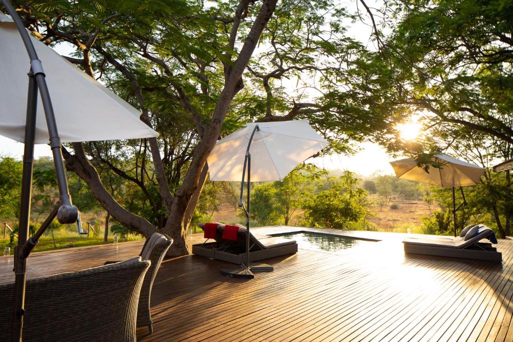 巴卢莱自然保护区Sangasava Safari Lodge的一个带椅子和遮阳伞的甲板和一个游泳池