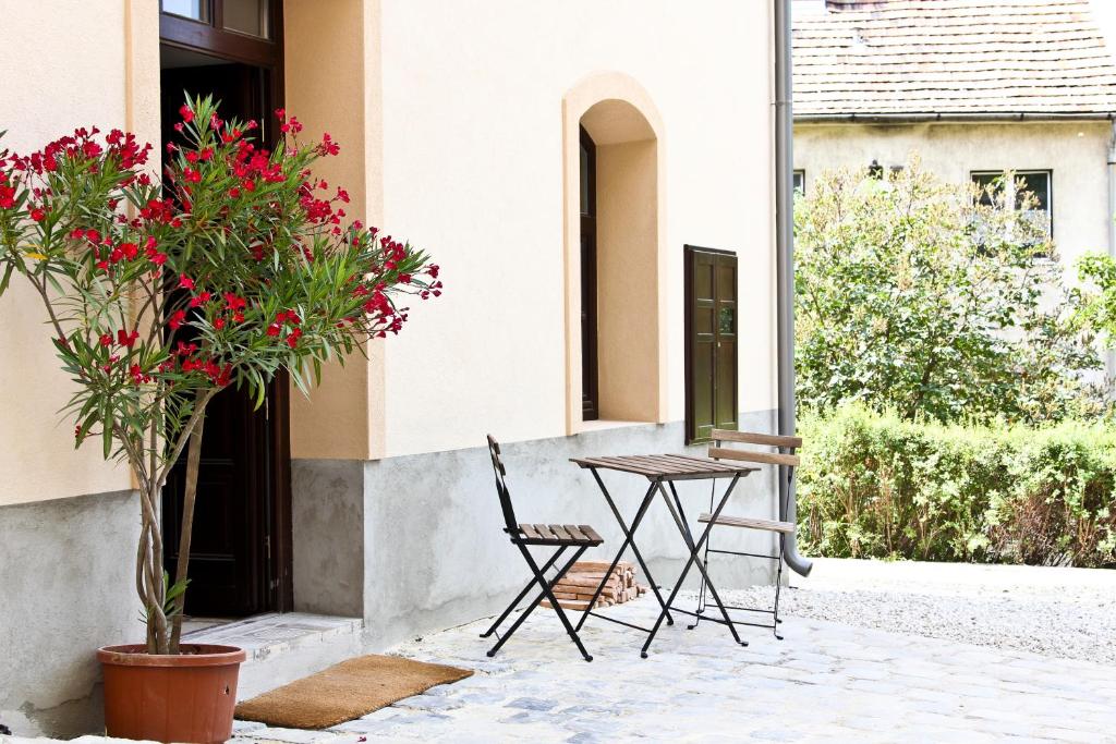 维斯普雷姆野生葡萄酒店的种植了植物的庭院里的桌椅