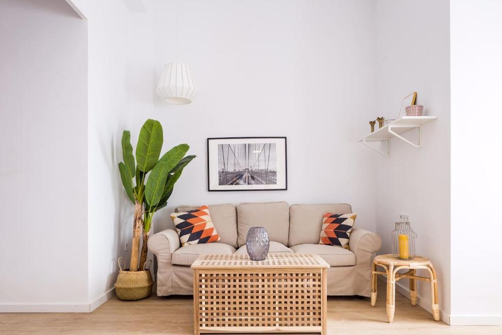瓦伦西亚Cozy apartment Valencia city center!的带沙发和植物的客厅
