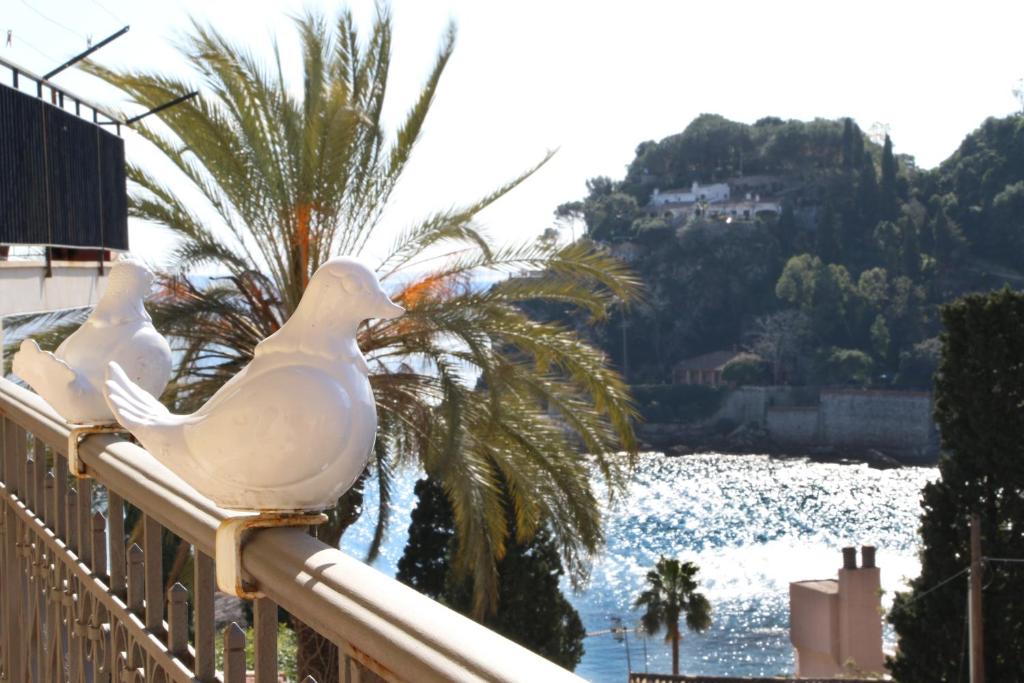 陶尔米纳Taonasi Mazzarò Apartments的两只白鸽坐在栏杆上,俯瞰着水面