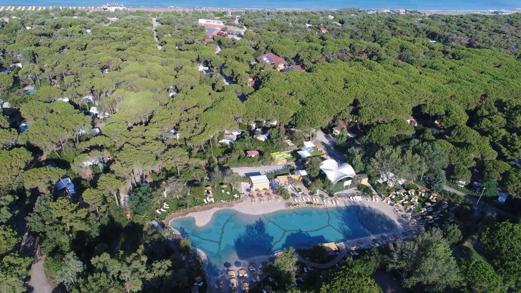 毕博纳的码头埃斯佩里第野营酒店的享有树林中一座带游泳池的房屋的空中景致