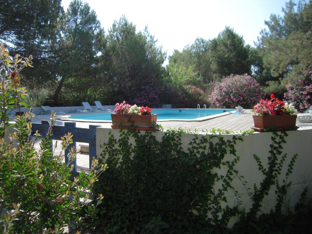 圣马迪拉莫曼纳德卡瓦利尼 - 马斯德皮奇酒店的墙上有两株盆栽植物的游泳池