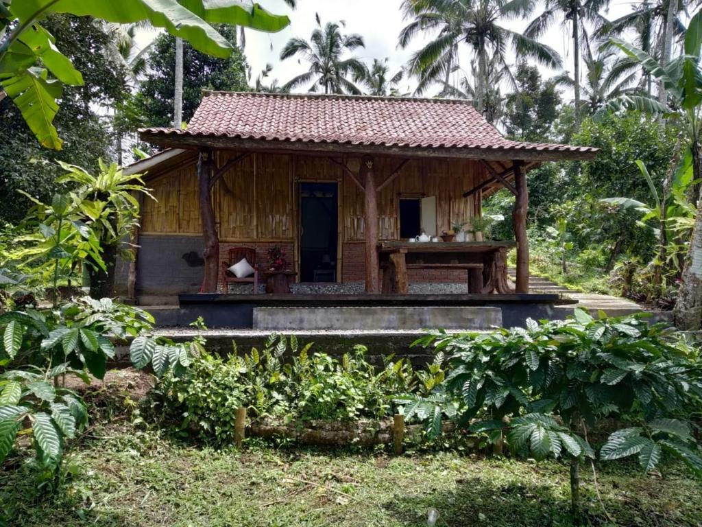 PenebelBali mountain forest cabin的森林中间的小房子