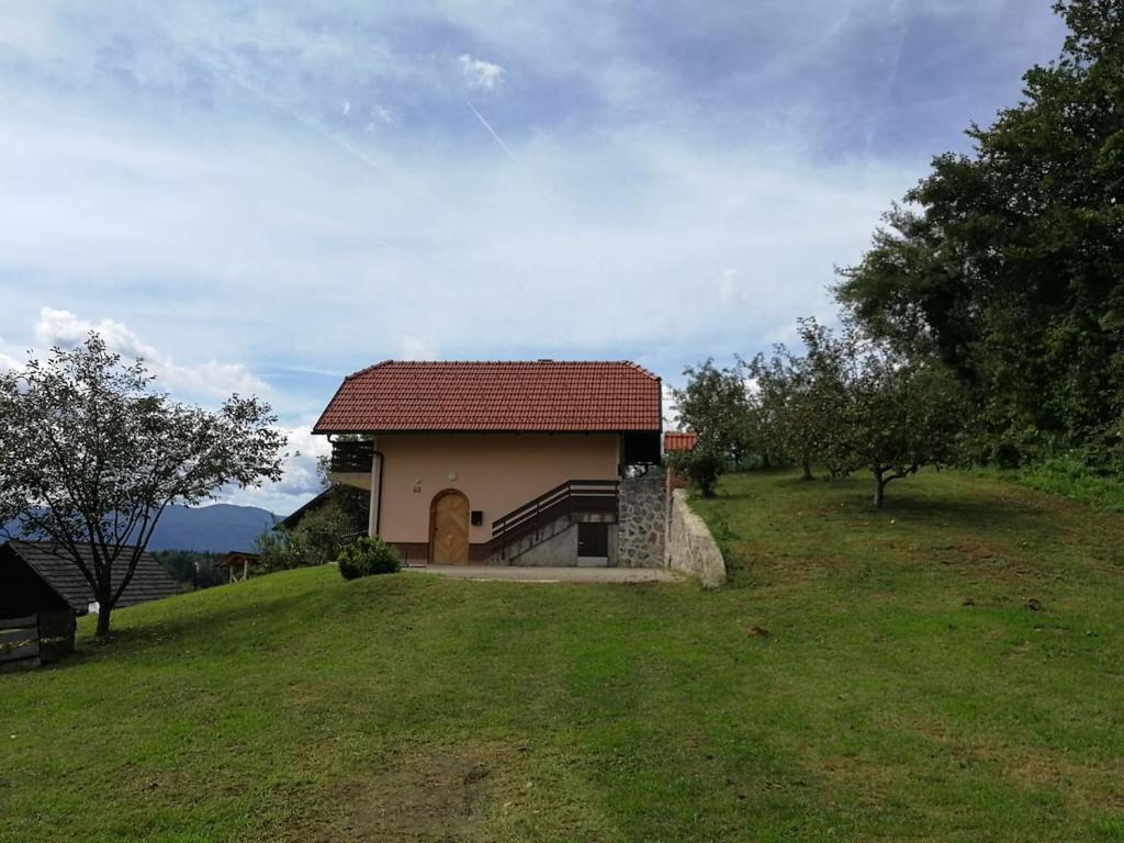 GradacPeaceful, cosy cottage near Kolpa river的一座小房子,位于一座小山上,有一片绿地