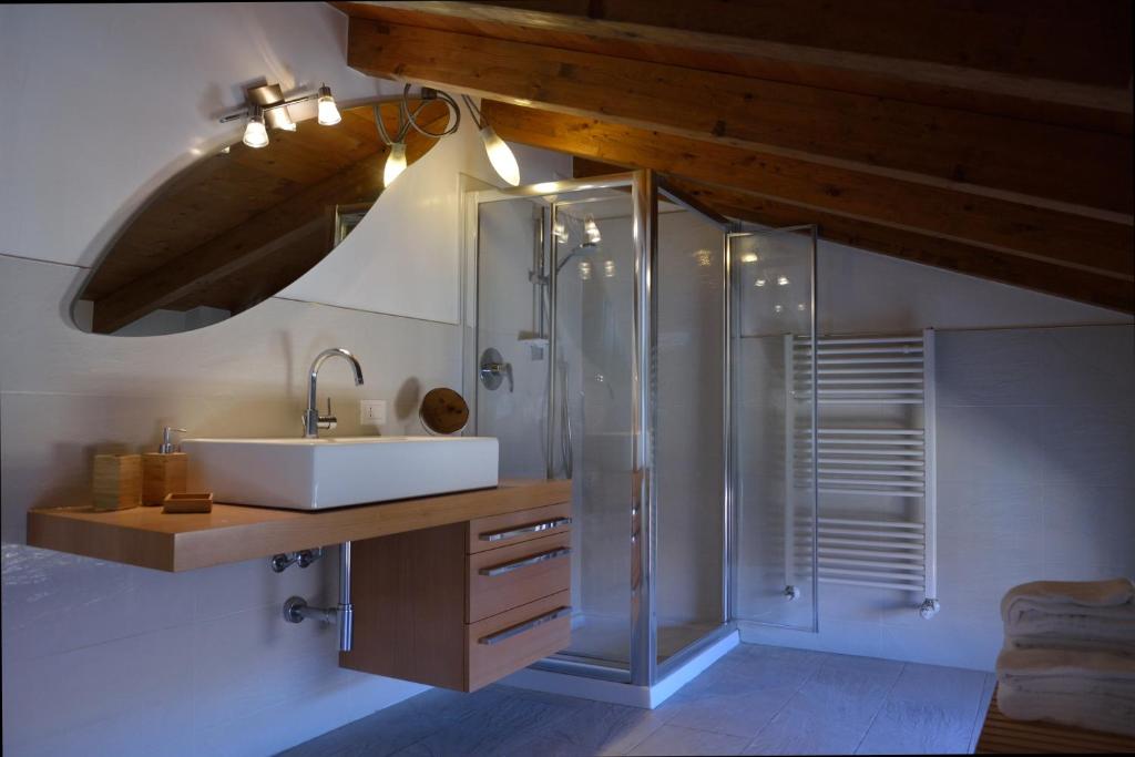 曼托瓦AmaMantua的一间带水槽和淋浴的浴室