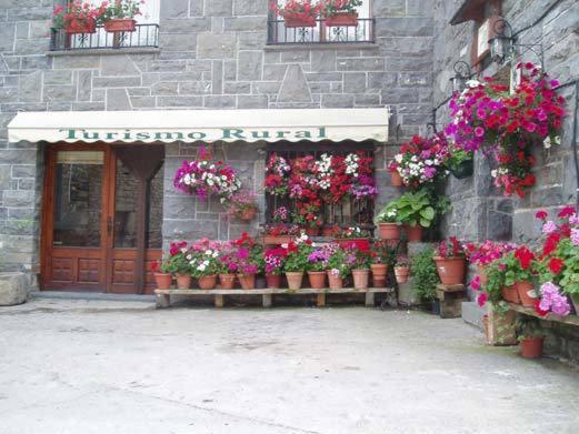 Oto卡萨雷罗乡村民宿的一座花店,在一座建筑前有盆栽植物