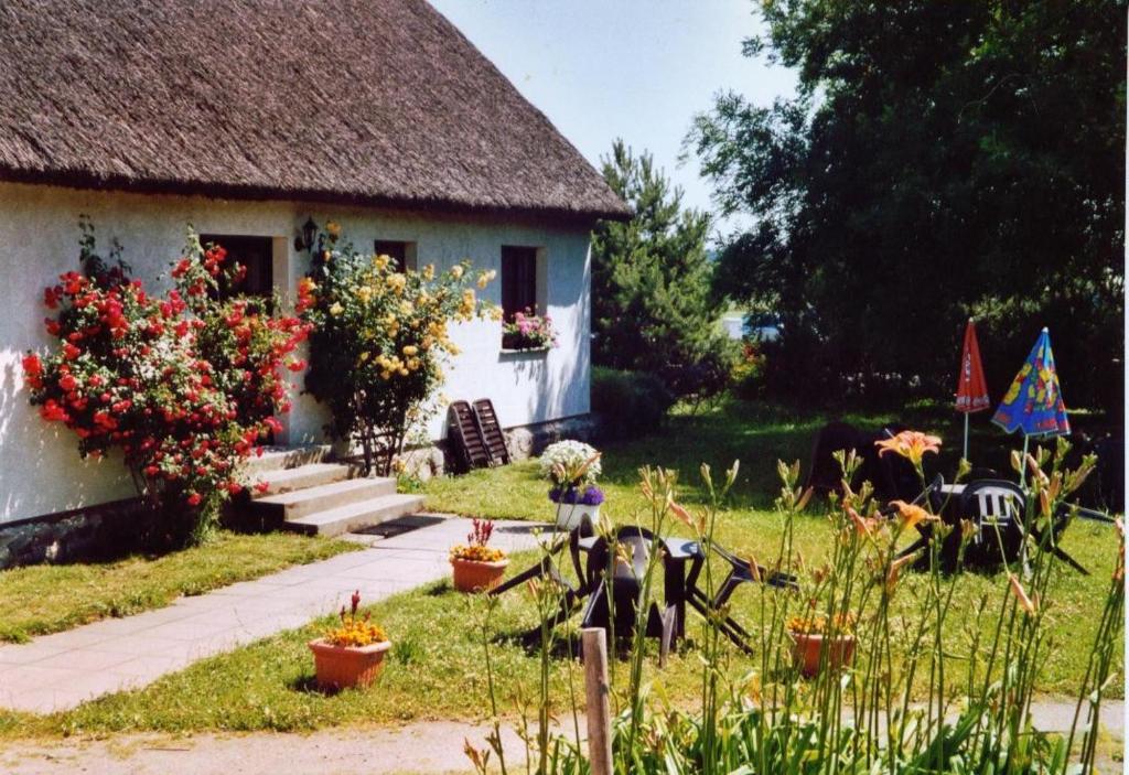蒂索Gästehaus Looks的茅草屋顶和花园的小房子