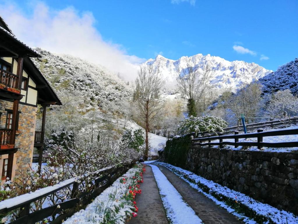 卡马莱尼奥圣佩拉约旅馆的一条有雪覆盖的小径,后面有山