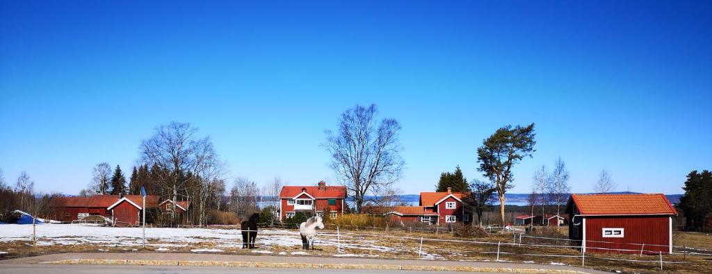 塔尔伯格Det Gamla Panget的两个人站在房子前面的雪地里