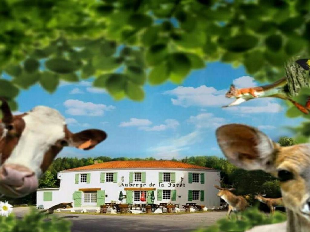 MerventL'Auberge de la Forêt的站在白色建筑前的牛