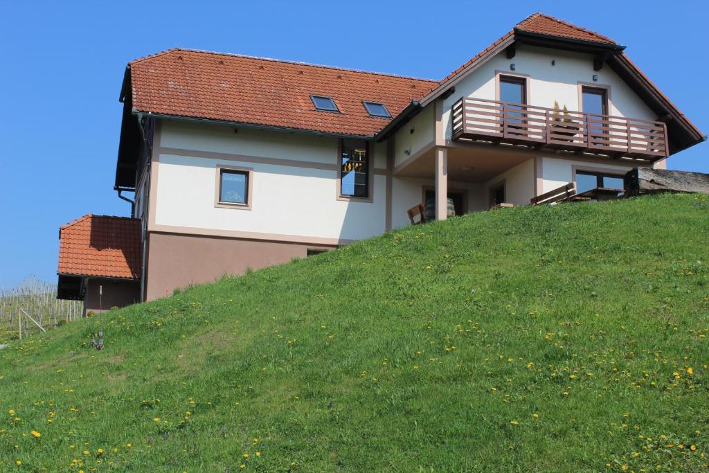 SvečinaVdovič Guest House的草山顶上的房子