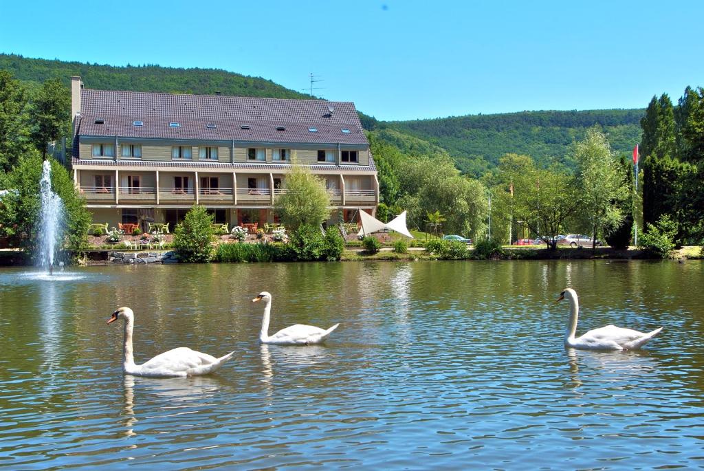 盖布维莱尔杜拉克酒店的三个天鹅在一座建筑前的湖里游泳