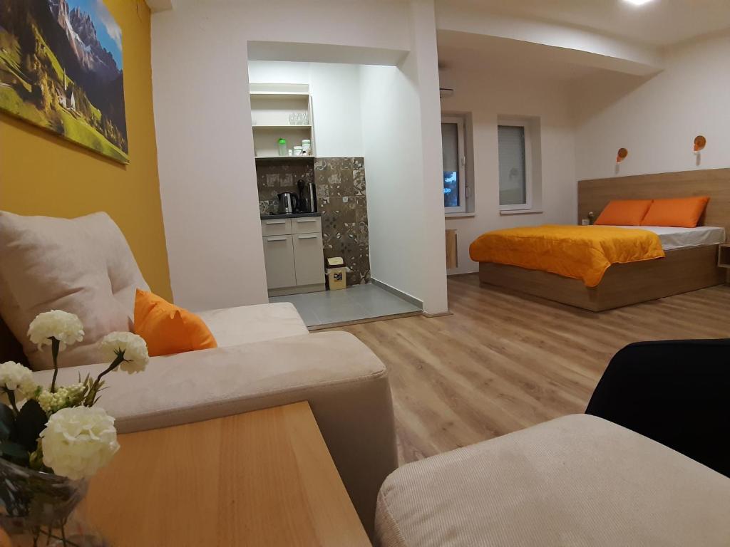 内戈蒂诺Bojana Apartment的客厅配有沙发和1张床