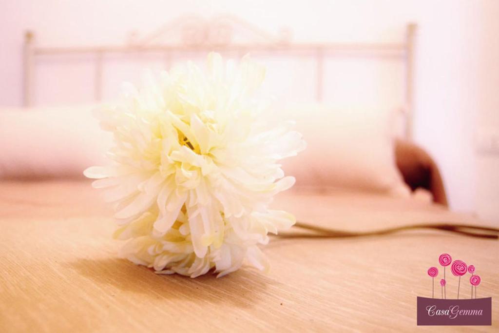莫诺波利Locazione turistica Casa Gemma的木桌上坐着一朵白色花