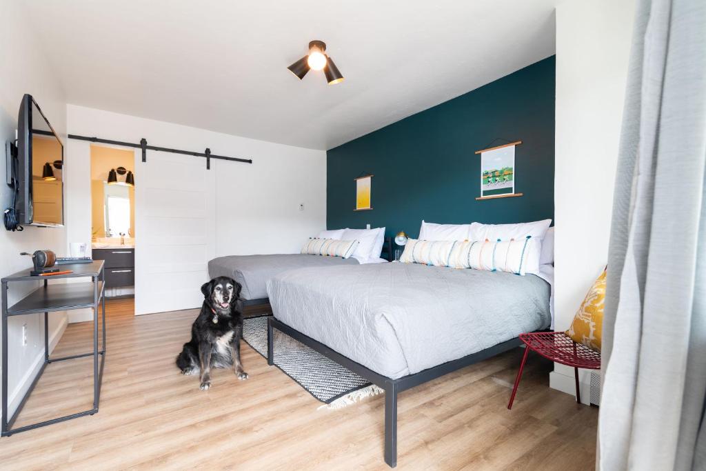 PalisadeSpoke and Vine Motel的卧室配有一张床,地板上还有一只狗