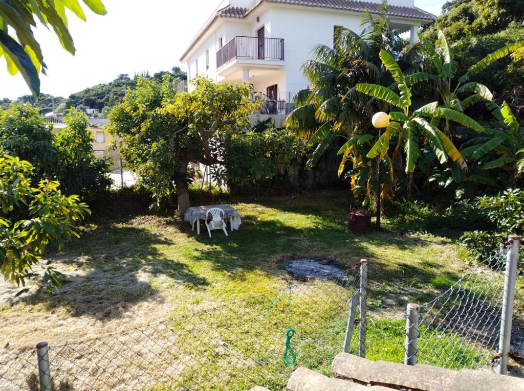 阿尔姆尼卡Casa rural en Torrecuevas的两只动物站在房子前面的院子中