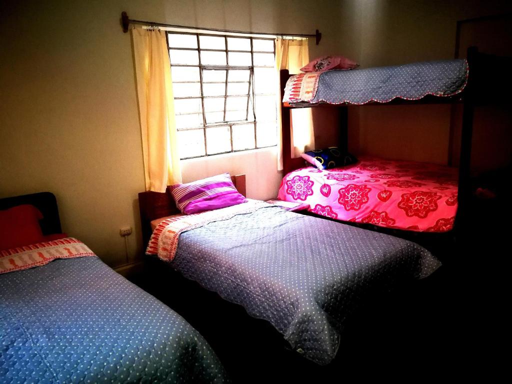 库斯科Tinki Hostel的一间卧室设有两张床和窗户。