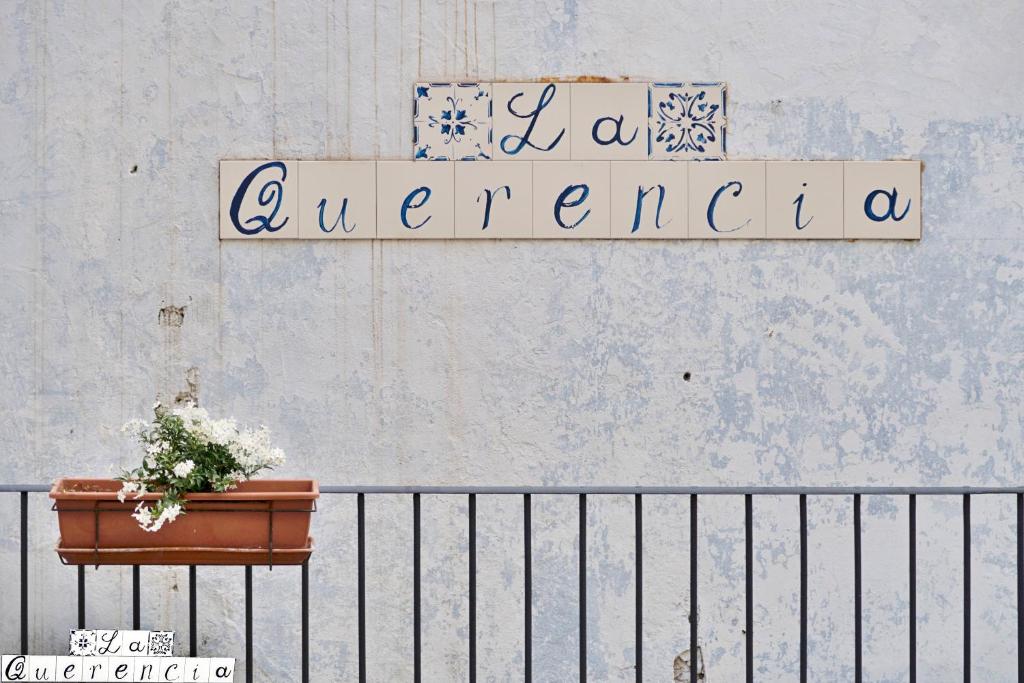巴勒莫La Querencia的墙上的标志,围栏上有一棵植物