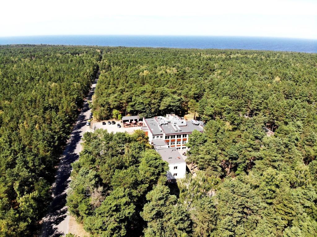格但斯克琥珀假日酒店的树林中房屋的空中景观