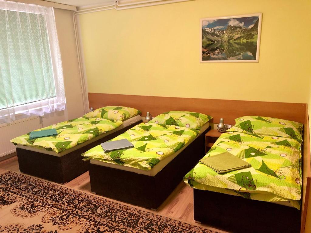 布尔诺晚会旅馆的客房设有两张床和窗户。