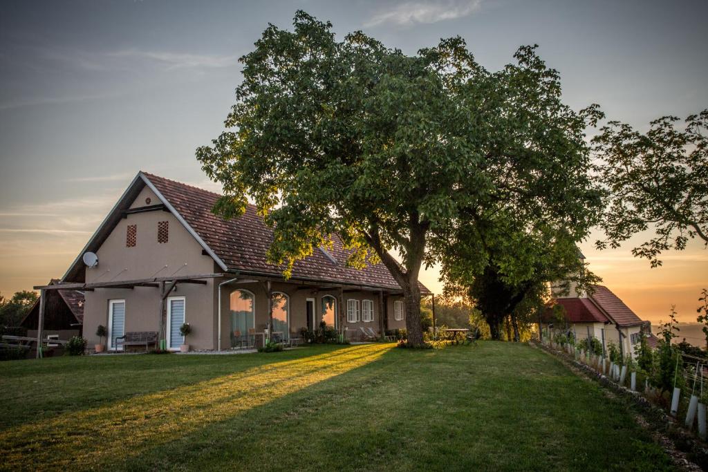 Berghausen文扎里提蒙特酒庄度假屋的院子里有树的白色房子