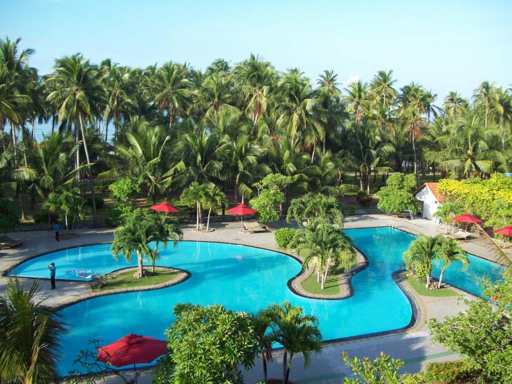 美奈Muine Century Beach Resort & Spa的棕榈树度假村泳池的空中景致