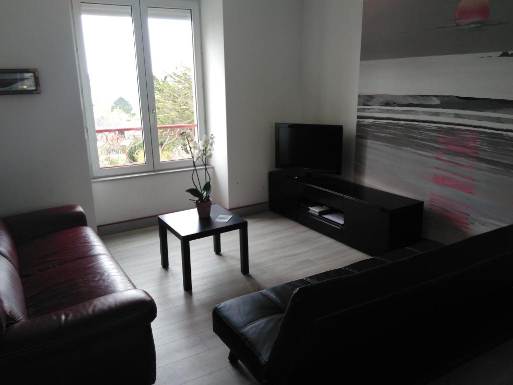 克罗宗Appartement Vue Mer的带沙发和电视的客厅
