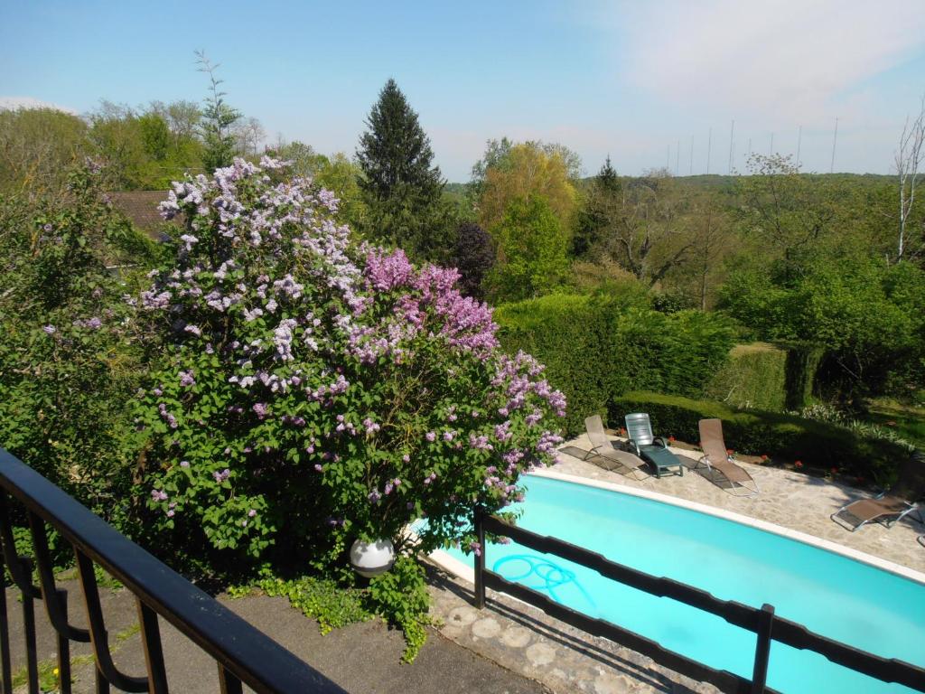 圣法戈蓬蒂埃里La Fargette的享有游泳池和布满紫色花卉的灌木的景色