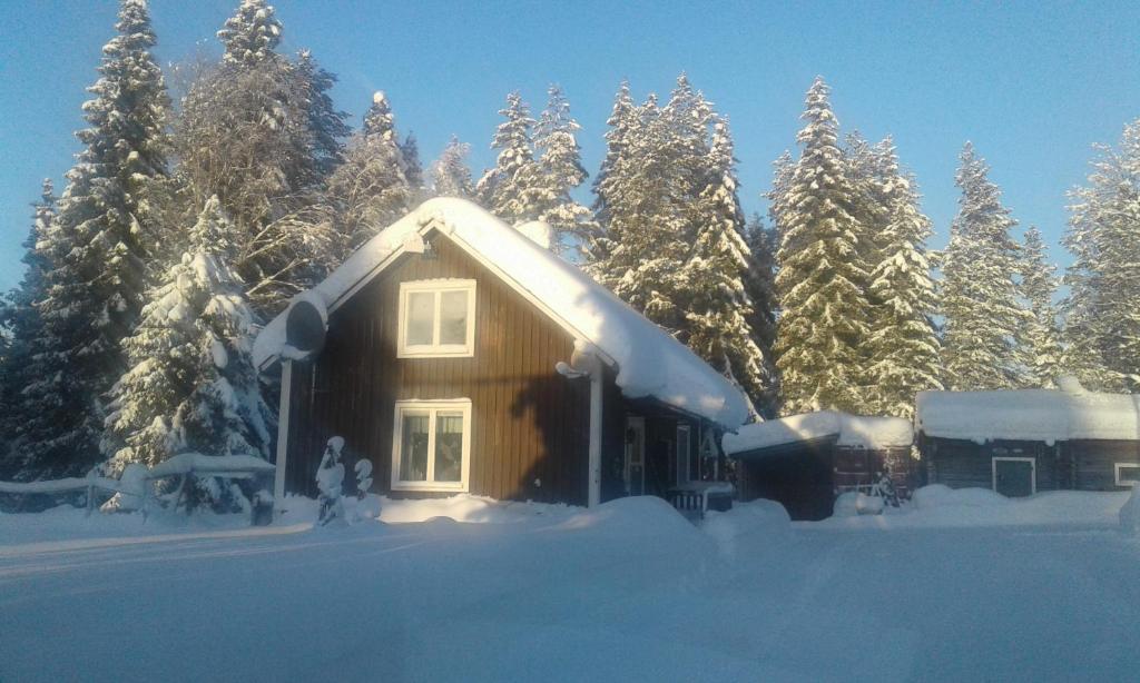 ÖverkalixHoliday House in Lapland, Överkalix的树前的雪覆盖的房子