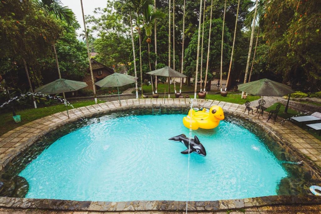 巴位巴维家园旅馆的一座游泳池里放着橡皮鸭和海豚