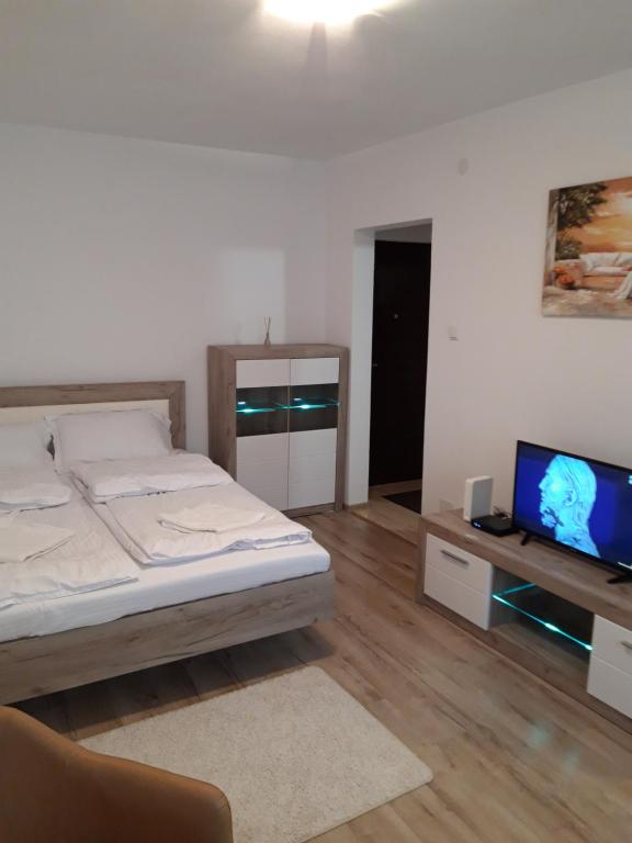 密古雷休治Focus Home的一间卧室配有一张床和一台平面电视