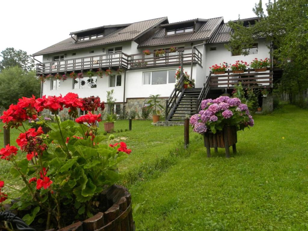 布朗喀尔巴阡山脉雄鹿旅馆的前面有鲜花的房子
