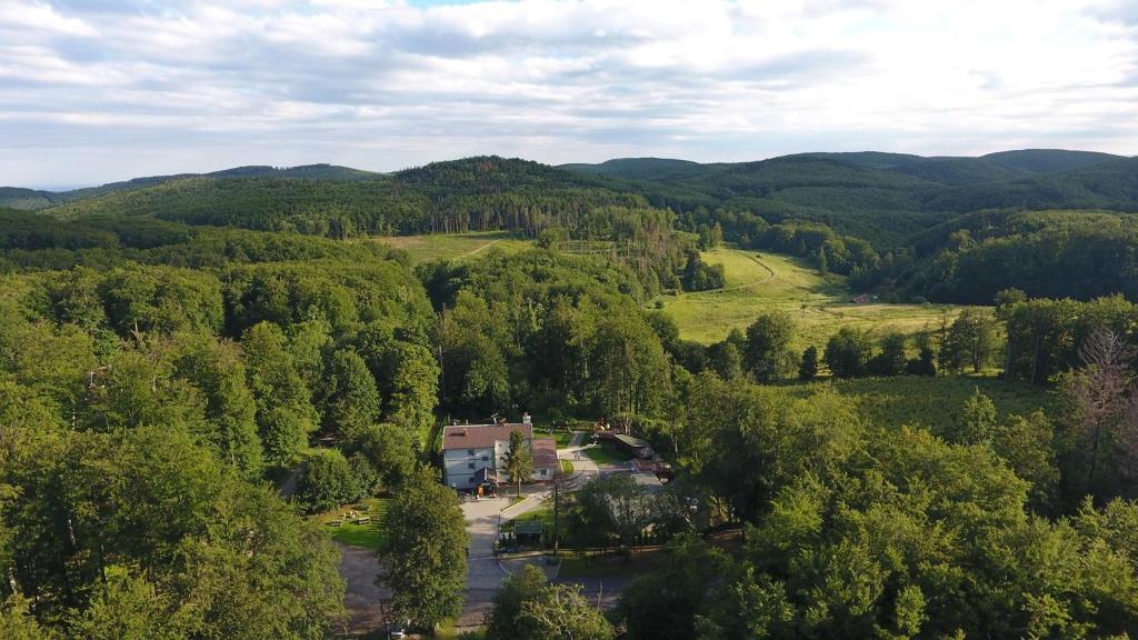 BánkútFehér Sas Panzió的享有山谷的空中景致,设有树木和建筑