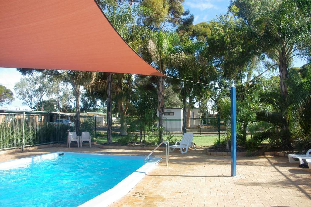 卡尔古利Big4 Acclaim Prospector Holiday Park的一个带遮阳伞和椅子的游泳池以及树木