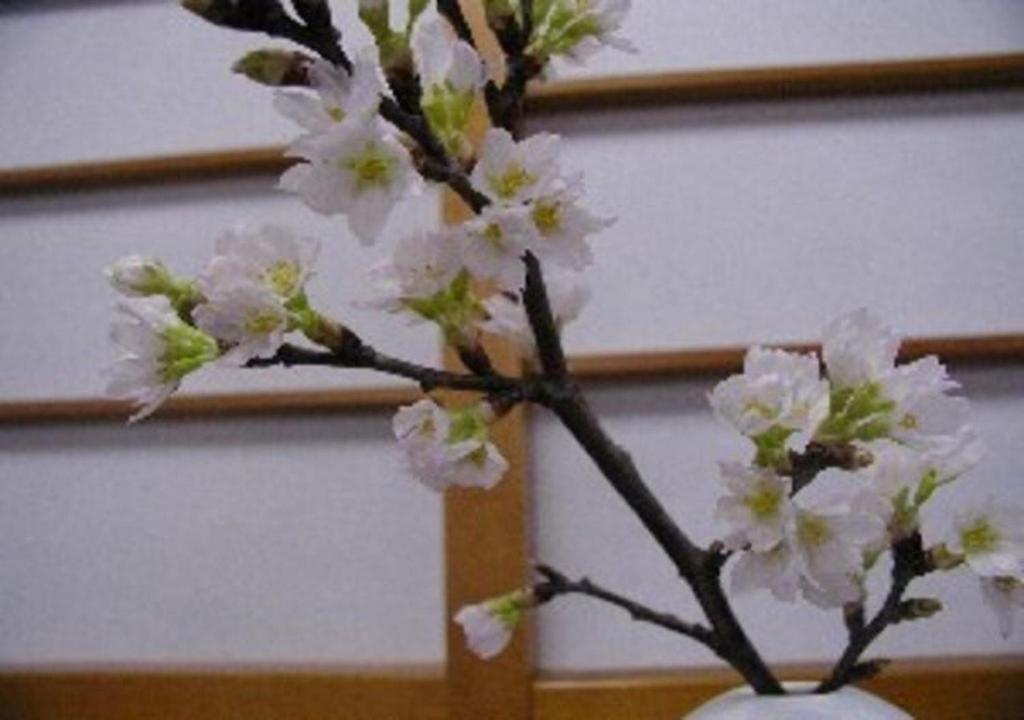 酒田市Wakaba Ryokan / Vacation STAY 29366的树枝上花白的花瓶