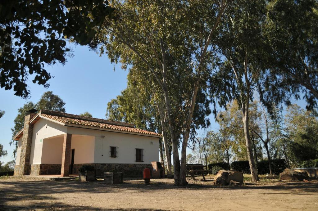 奥雷利亚纳拉维耶哈Casa Rural Casa de las Aves的相册照片
