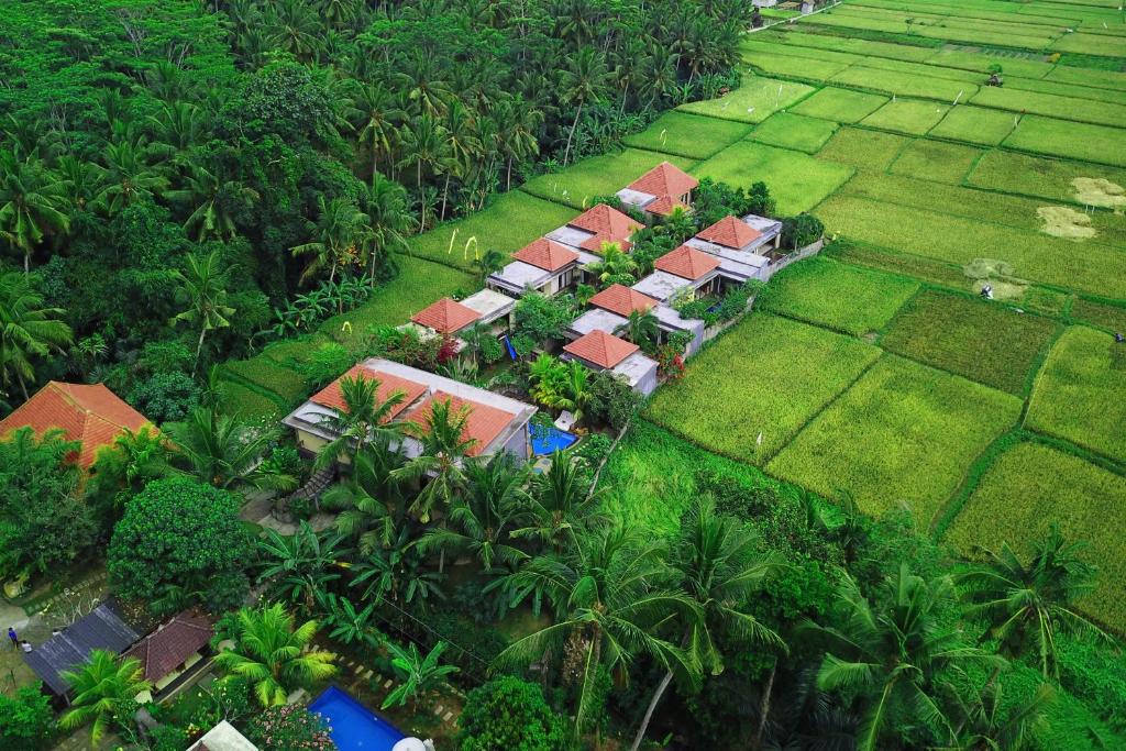 乌布Asri Sari Ubud Resort & Villa by Samhita Bali的地面上一组房屋的空中景观