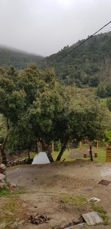 Santa-Lucia-di-Mercuriocamping l'agrottu au cœur de la corse restaurant creperie的树木和山地的帐篷