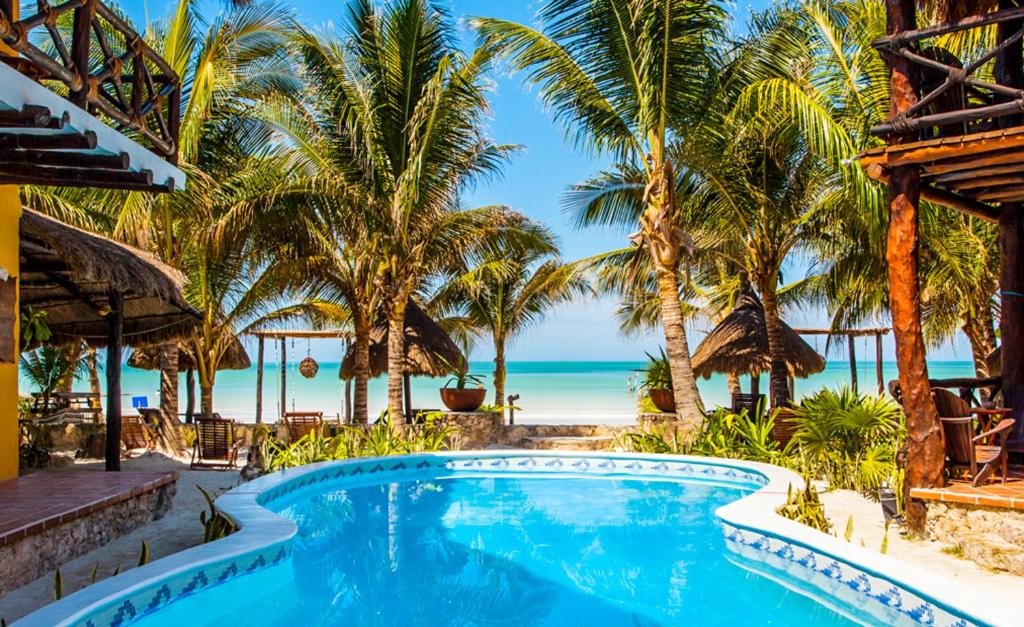 奥尔沃克斯岛Holbox Dream Beachfront Hotel的棕榈树和海滩的度假游泳池
