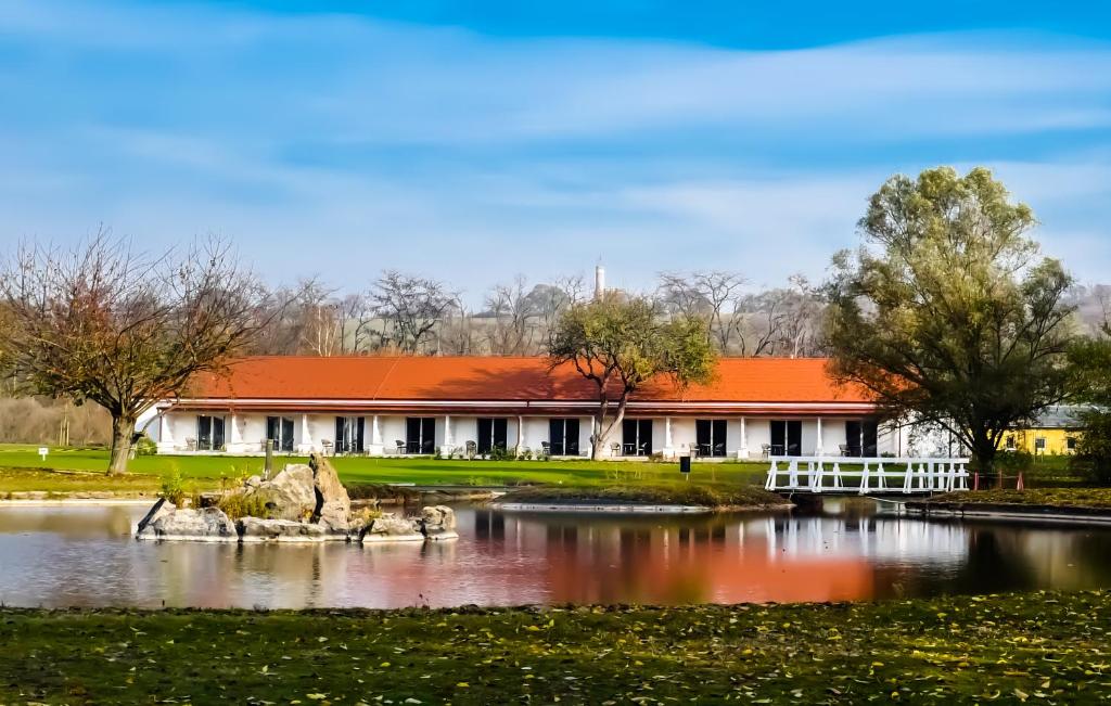 AlcsútdobozPannónia Golf & Country Club的一座在池塘边有橙色屋顶的建筑