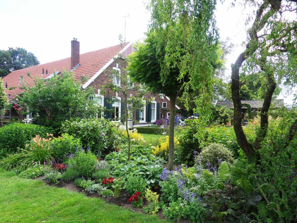 阿尔滕't Lankhof的鲜花屋前的花园