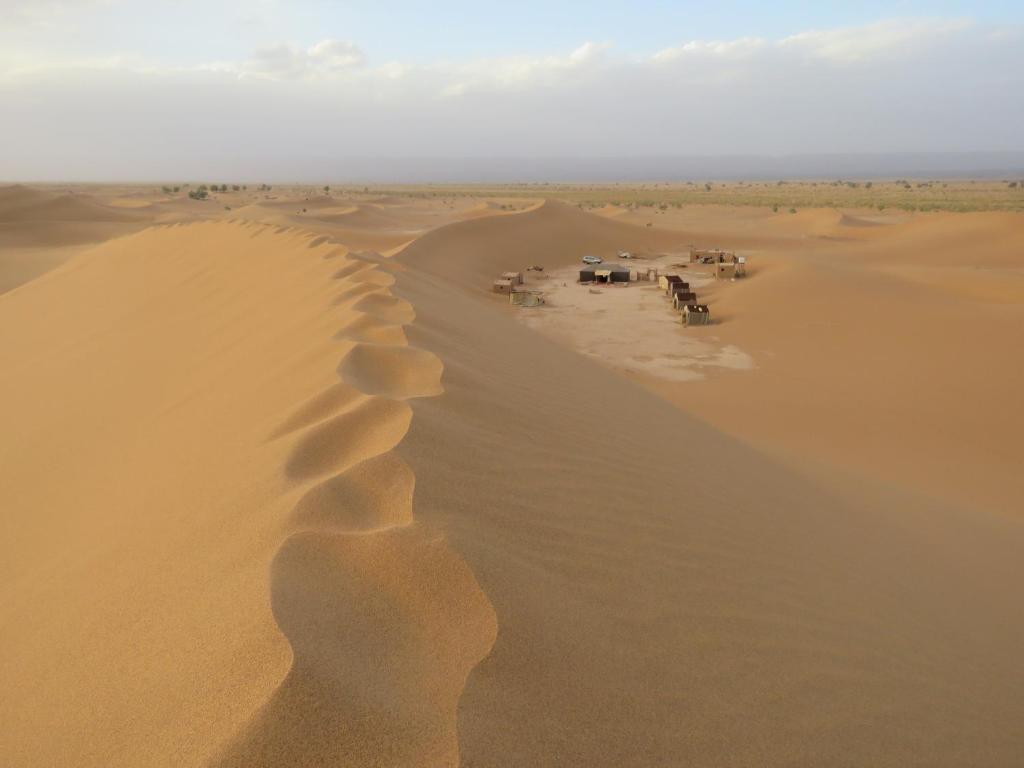 姆哈米德Chegaga Berber Camps的沙漠的景观,在沙子里有骆驼足迹