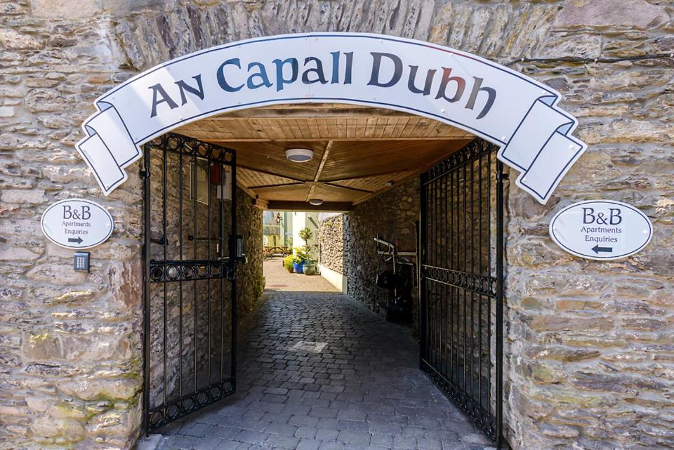 丁格尔Dingle Centre Townhouse An Capall Dubh Dingle的门上标有标志的卡里尔杜瓦斯入口