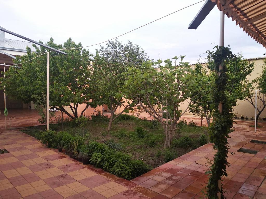 撒马尔罕YOKUB Guest House的人行道上种有树木和植物的花园