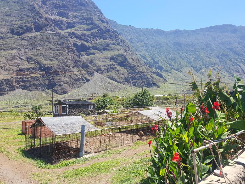 GuineaBEAUTIFUL COASTAL HOUSE ON A TRANQUIL ORGANIC FARM的山地农场