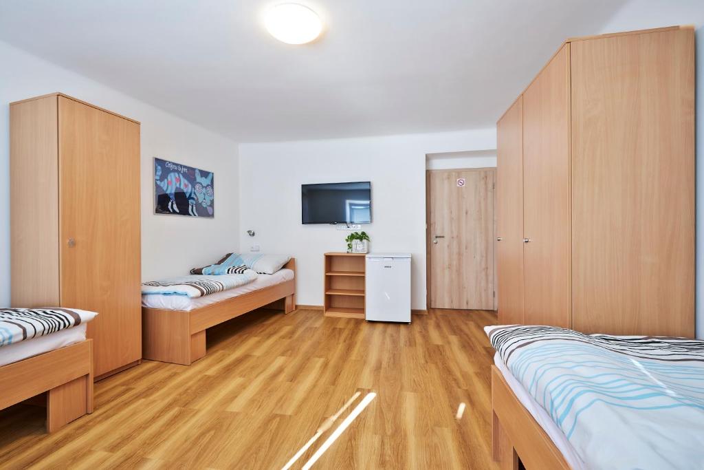 布拉格Apartmány Ubytování Alfa的一间带两张床的卧室和一台电视