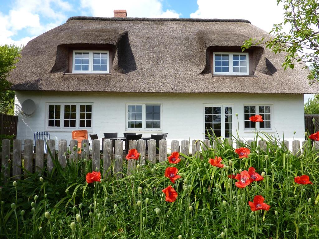佩尔沃姆Austernfischer Haus的茅草屋顶和红色鲜花的房子