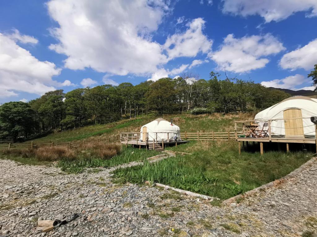 巴特米尔Syke Farm Campsite - Yurt's and Shepherds Hut的几个圆顶帐篷