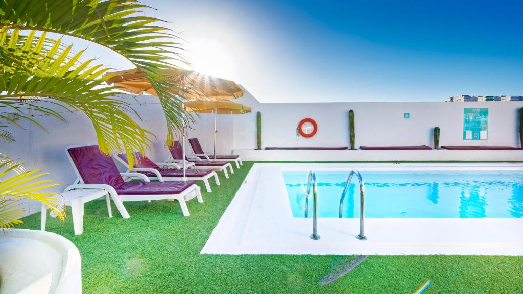 大加那利岛拉斯帕尔马斯Bull Astoria的一个带躺椅的游泳池,并种植了棕榈树