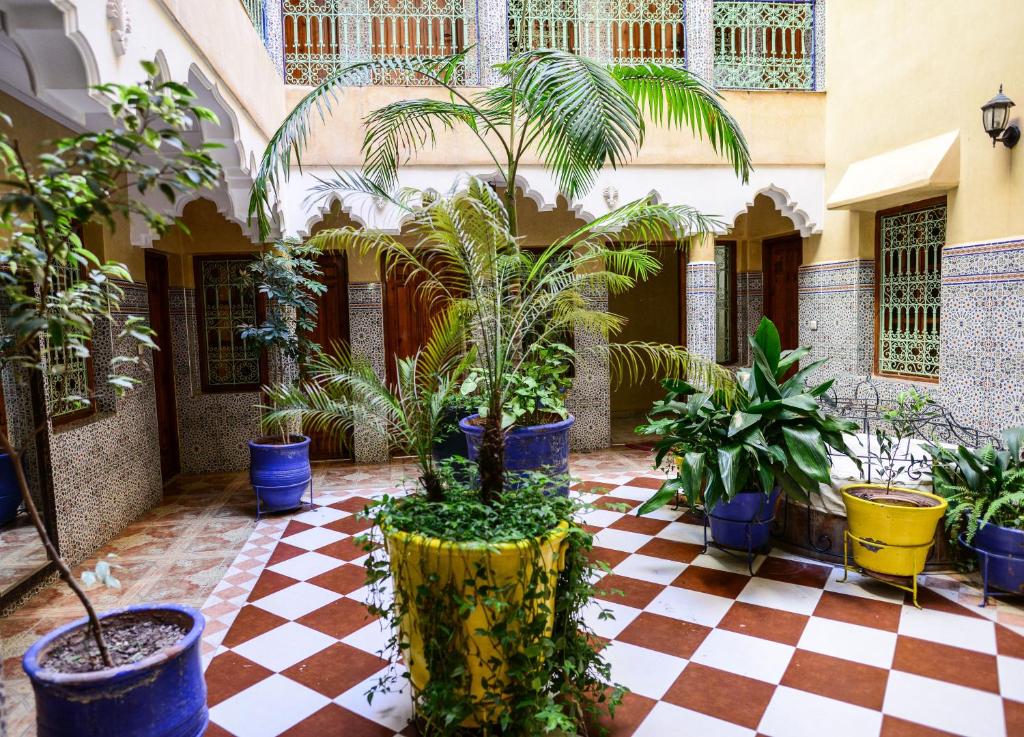 马拉喀什Hôtel Faouzi的 ⁇ 地的庭院,种植了盆栽植物